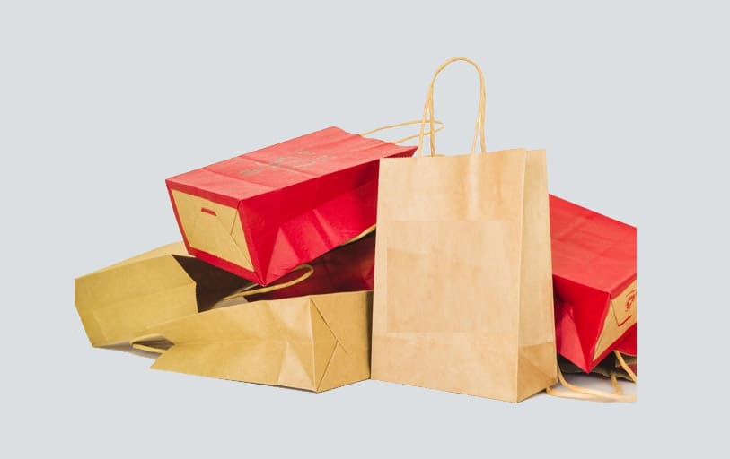 Paper Bags manufacturers in delhi